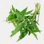 3 cách trị mụn bằng Rau Răm mờ Thâm, sạch Mụn tức thì